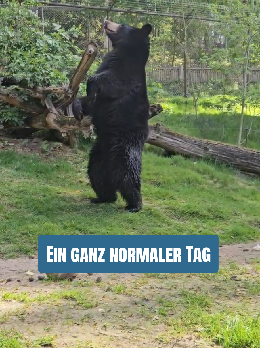 @WildparkLH