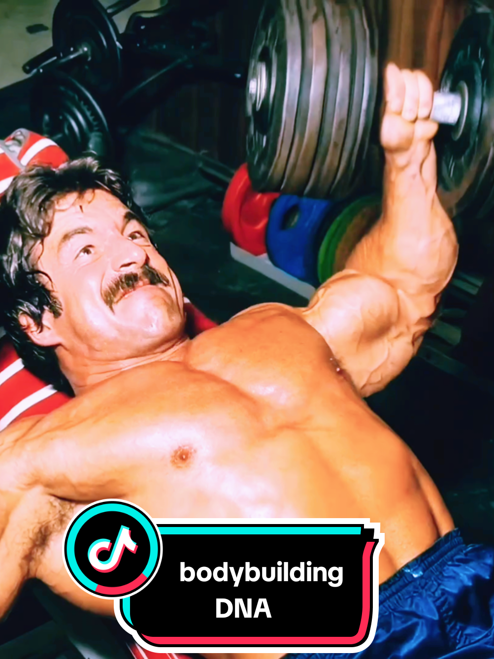 @bodybuildingDNA