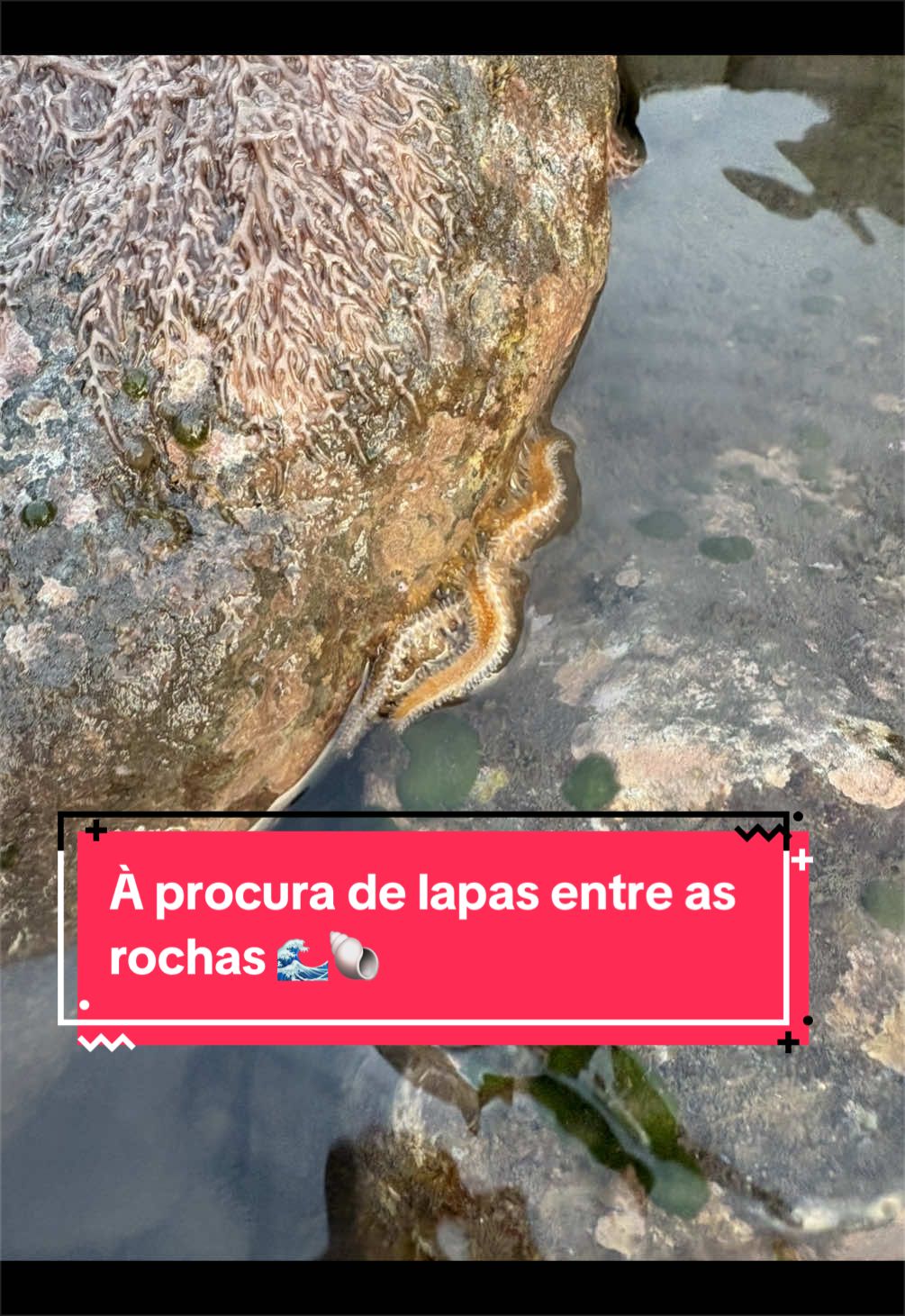 @Graca.Madeira