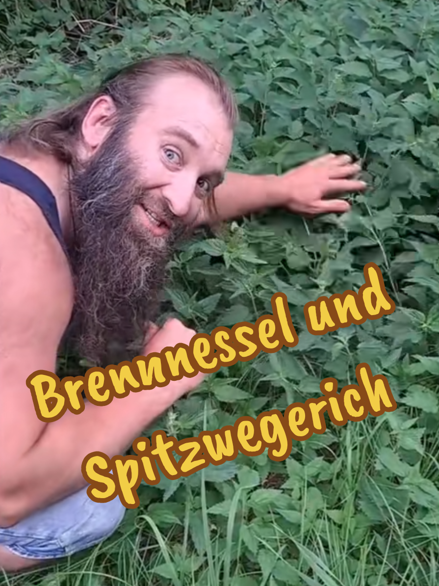 @holgermandl