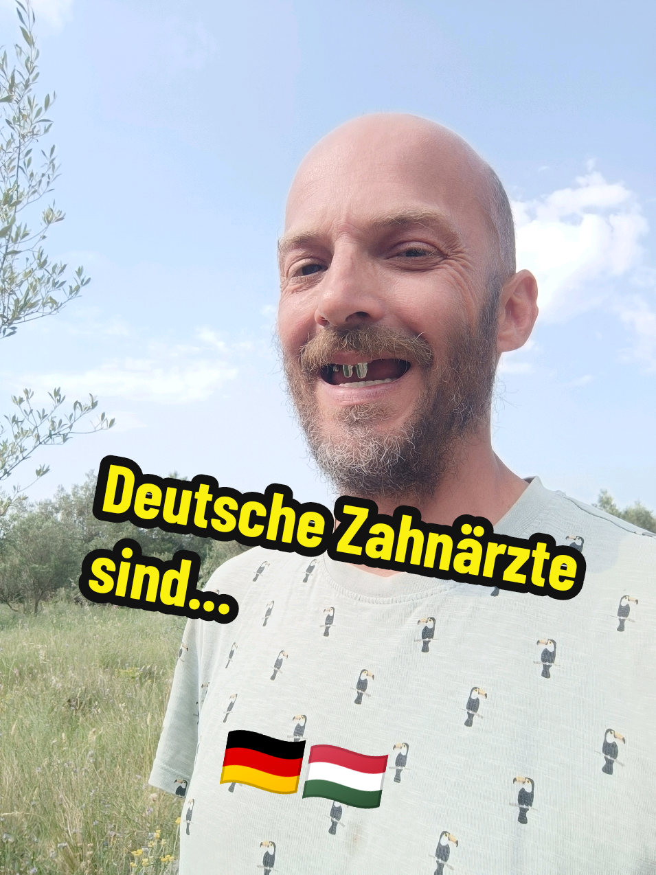 @berndout