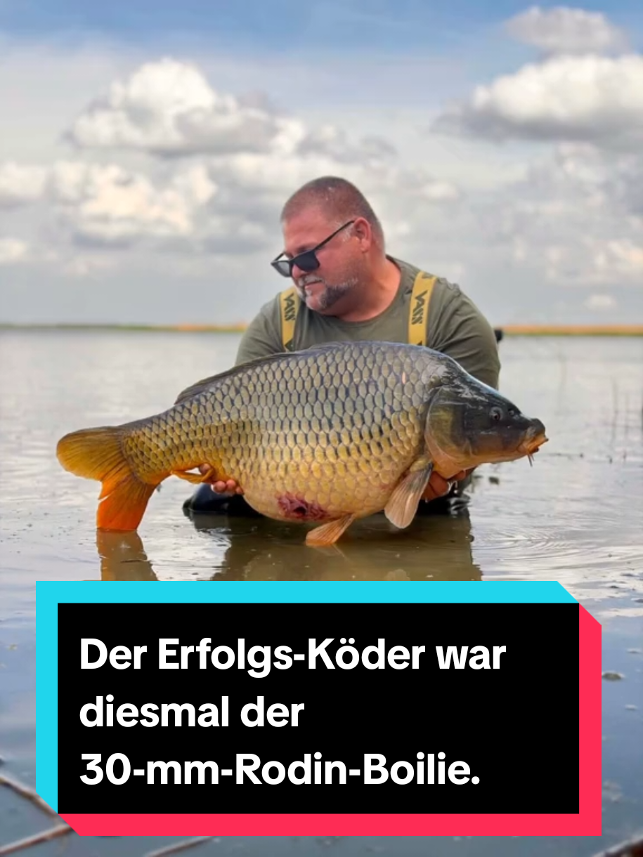 @Bait Bait Germany