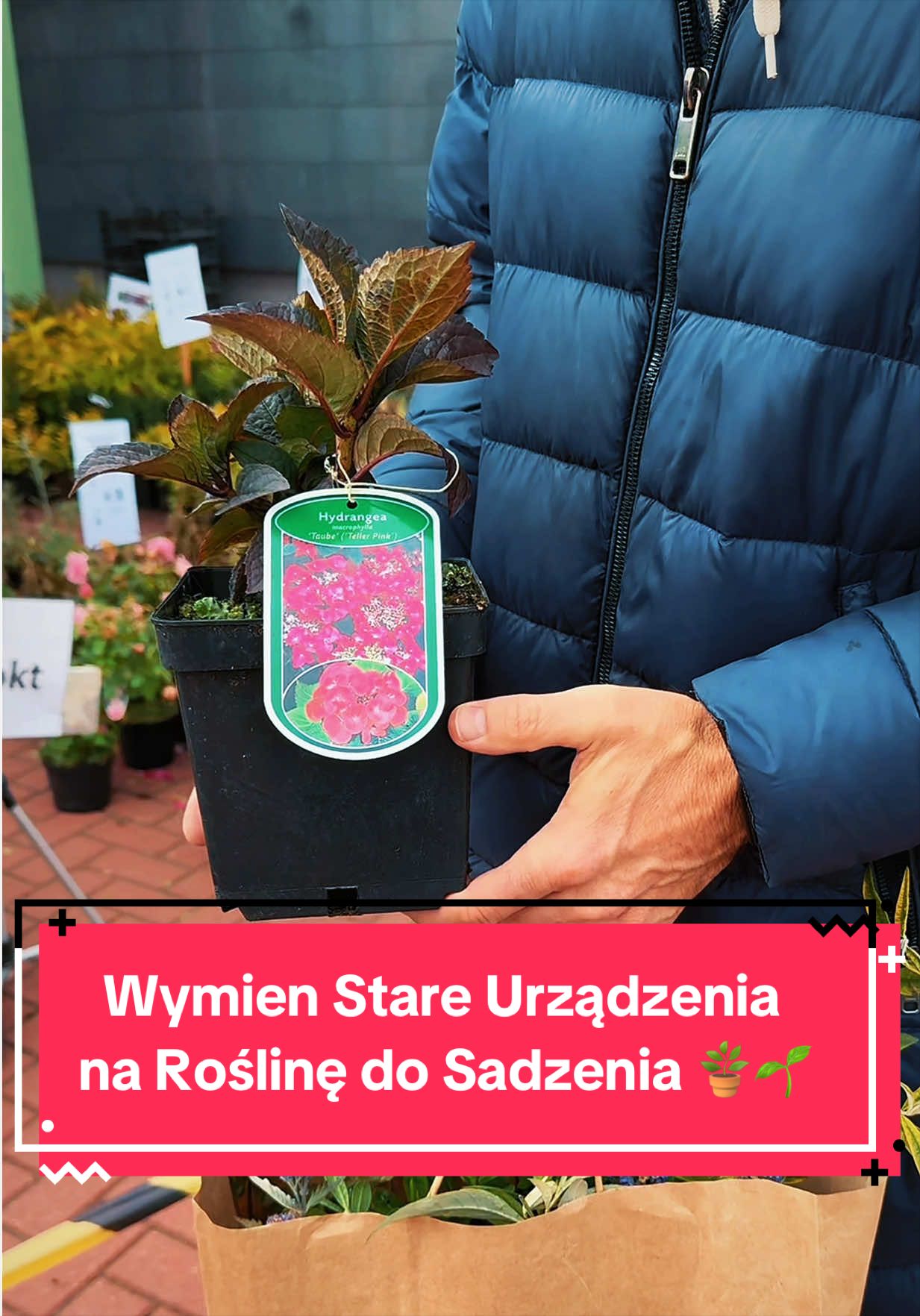 @Twoja Strona Miasta