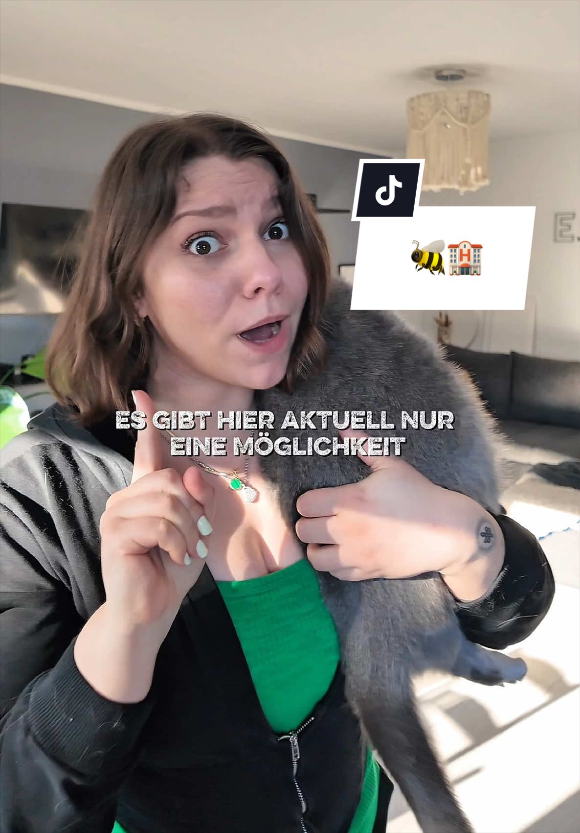 @endloskater