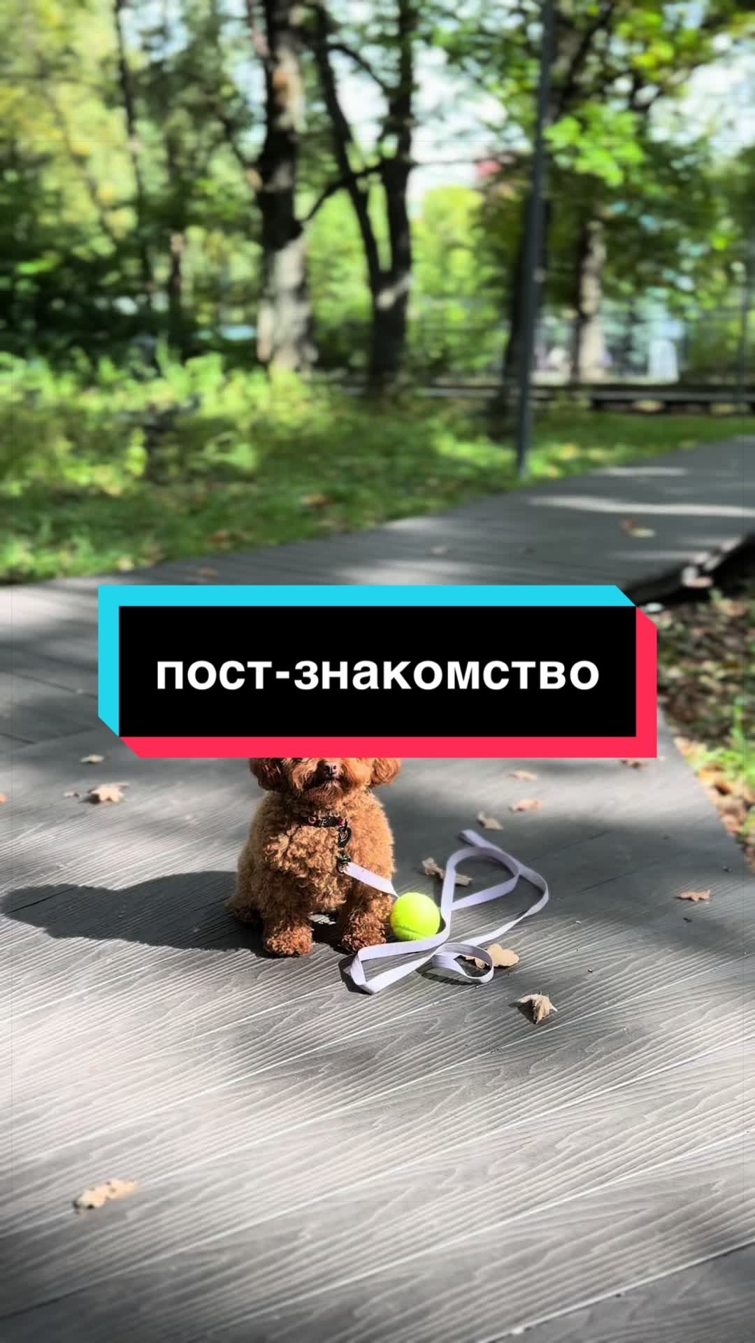 @Джульетта,но без Ромео