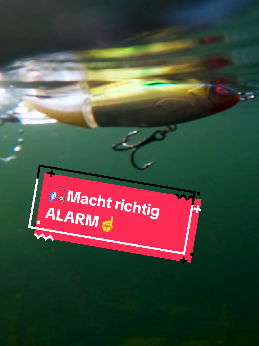 @Iron Claw_Fishing
