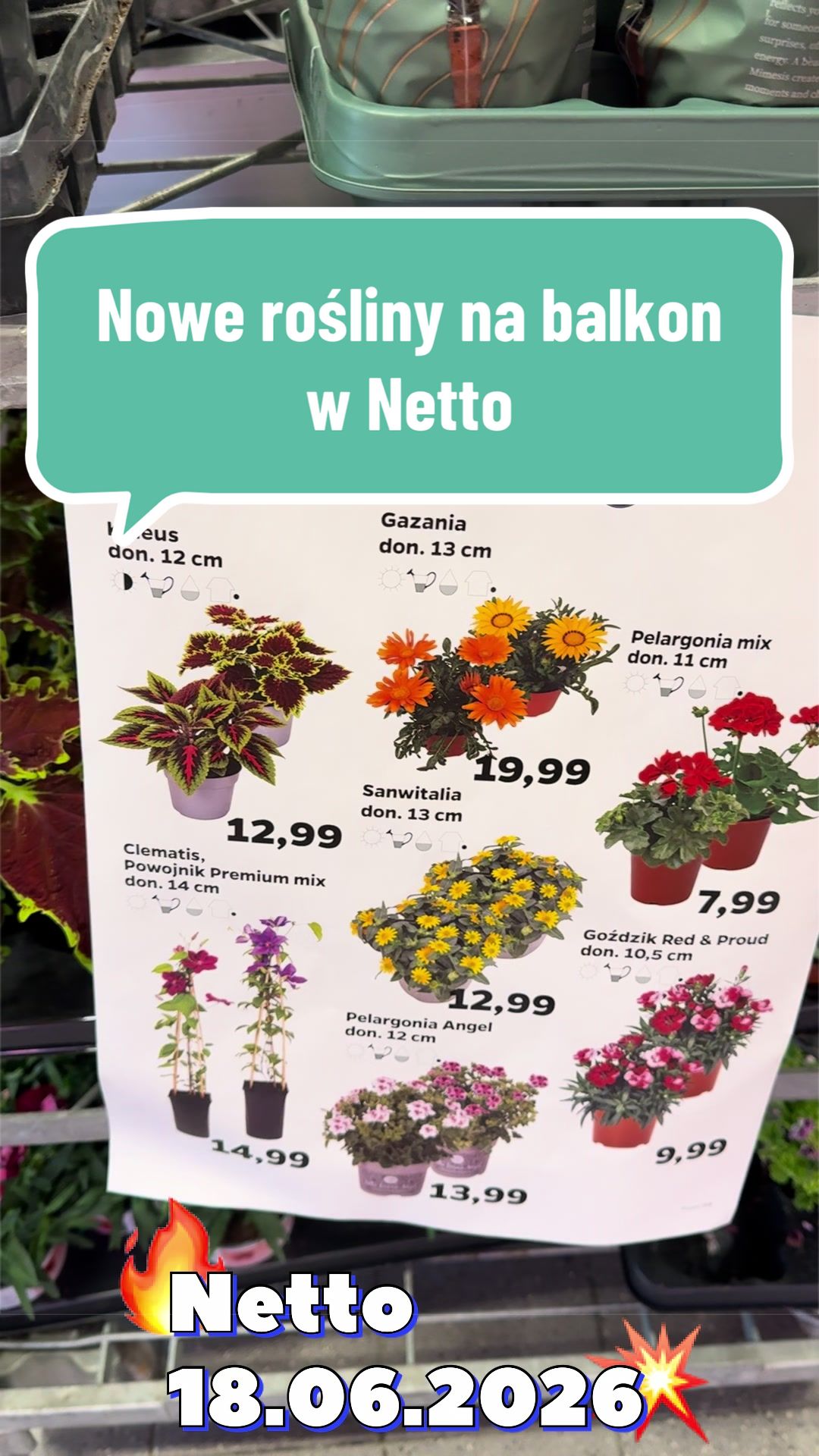 @maciej.plants