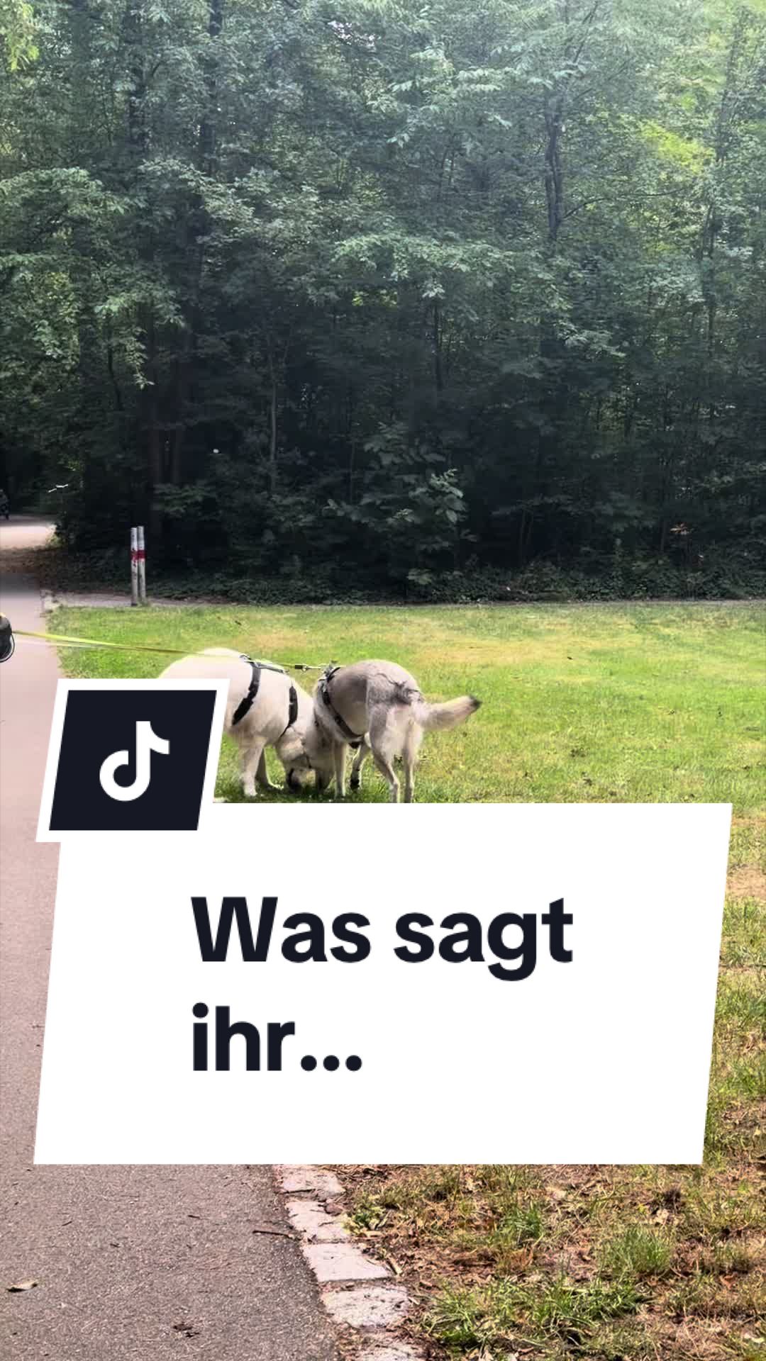 @Coco & Ylvi