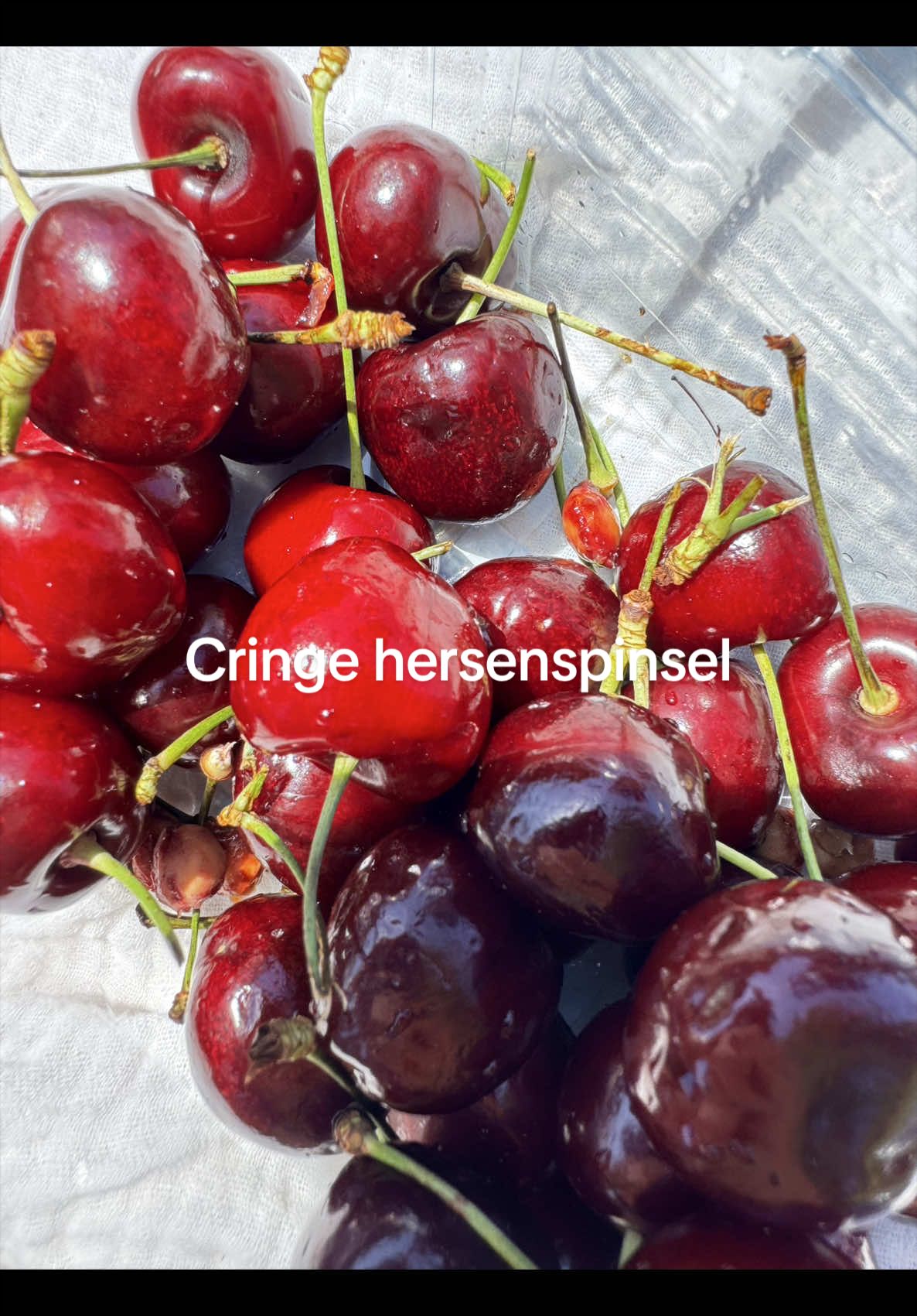 @Isabel Heijtlager ๐ฑ๐ผโ๏ธ