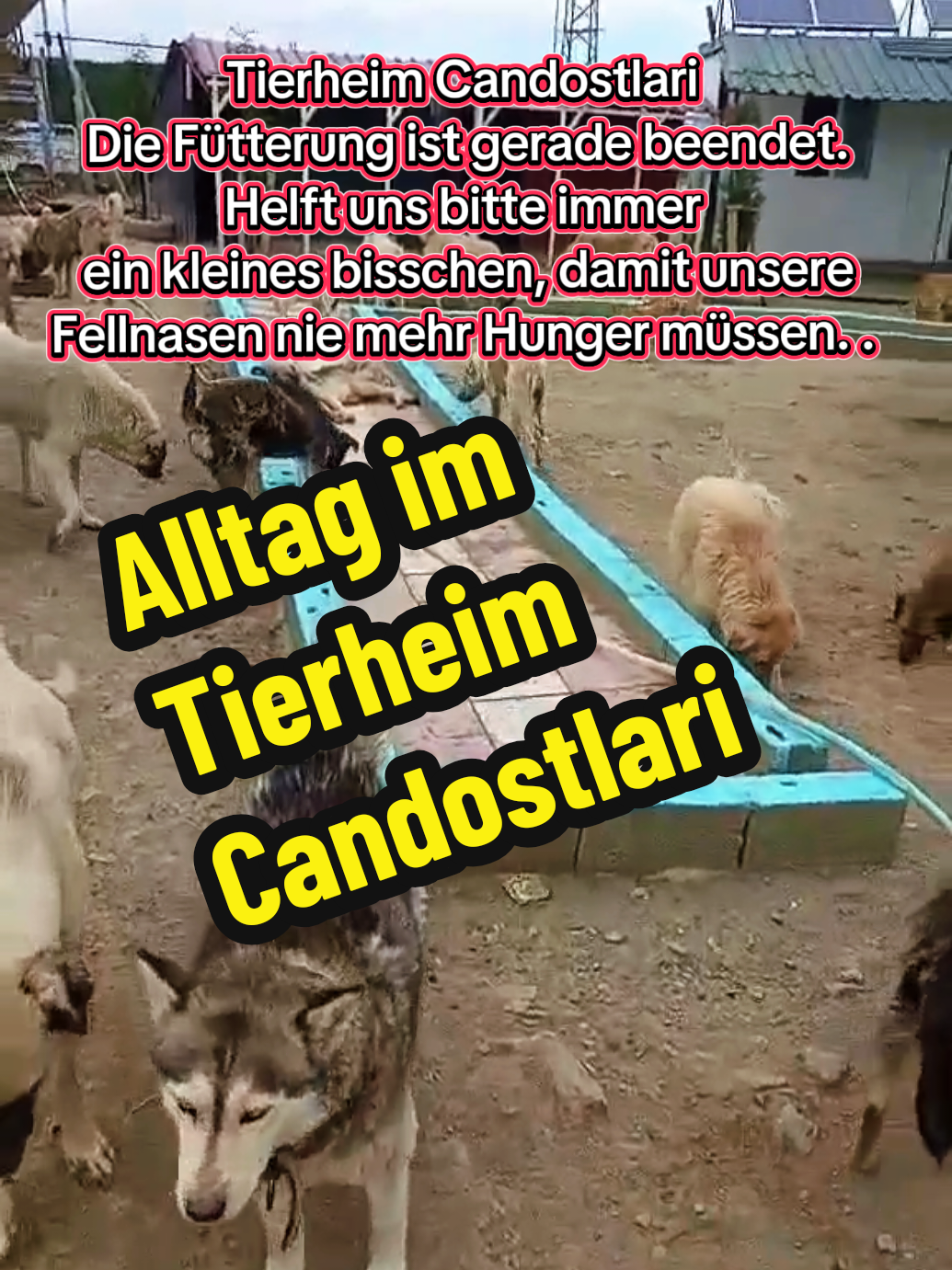 @TSV Candostlari-Beste Freunde