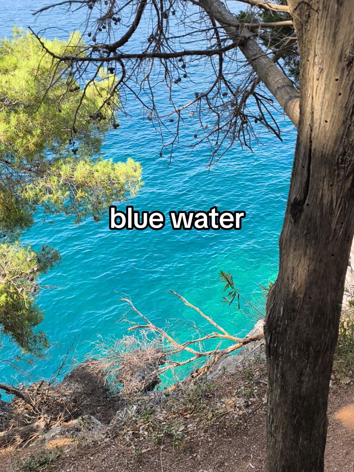 @nature.enjoyerᛉ