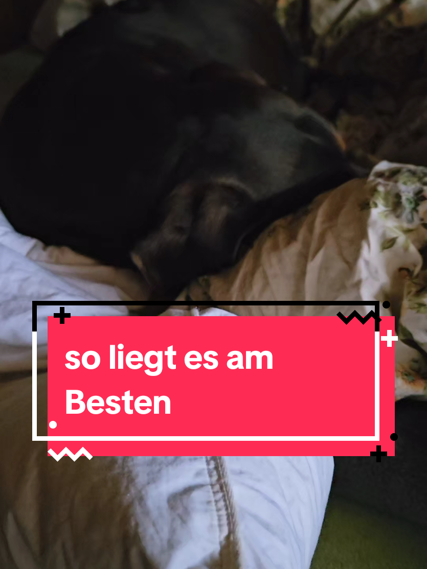 @Paddy und Sally