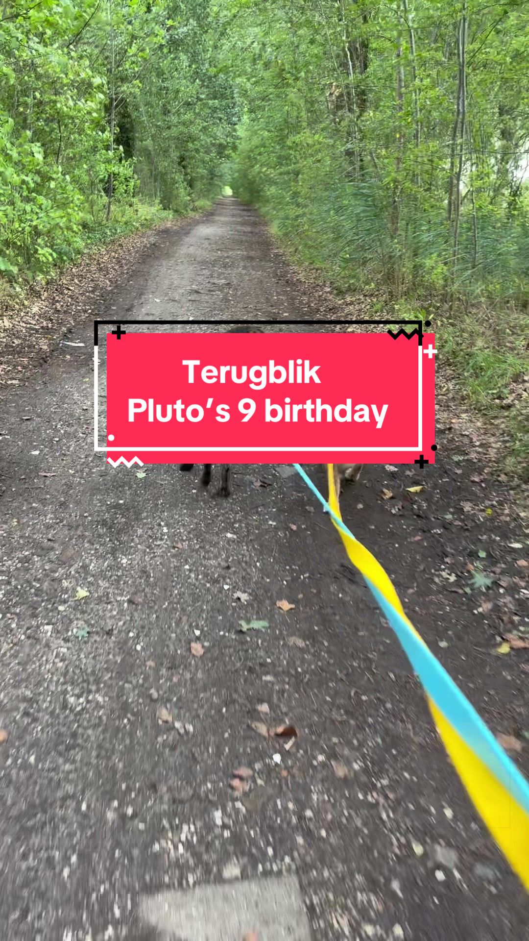 @Mieke🧩Pluto🐾 Mickey🐾