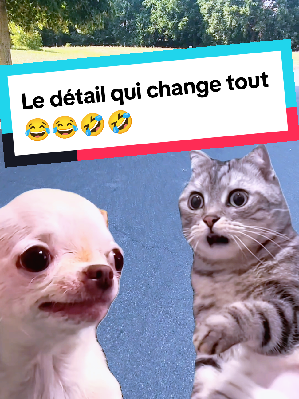 @𝘼𝙣𝙞𝙢𝙖𝙡𝙑𝙞𝙗𝙚