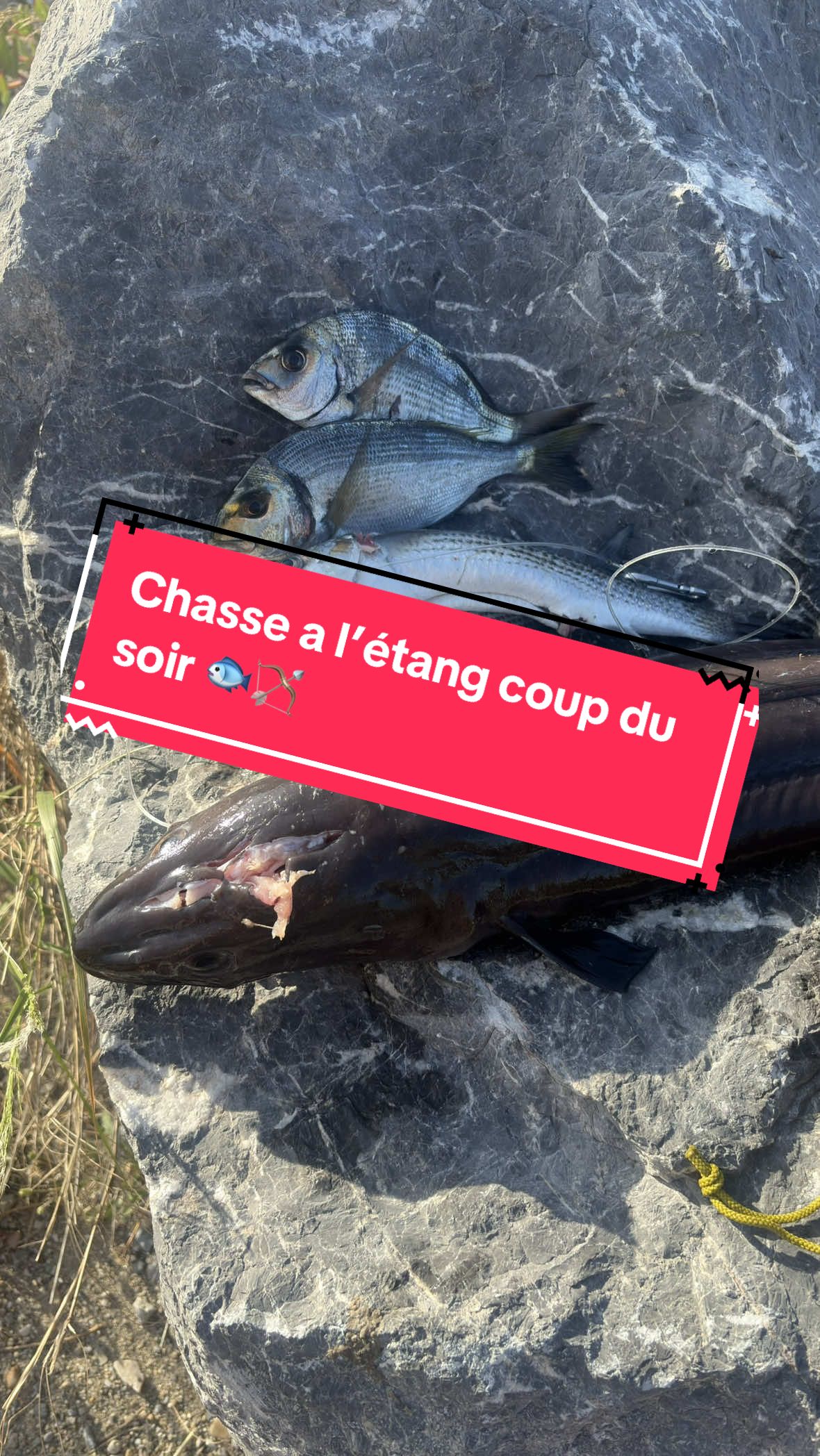 @Accro’Pêch 66