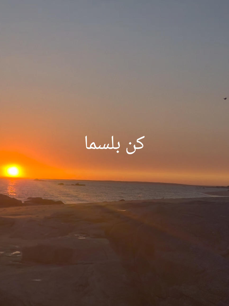@fnouni_loubna