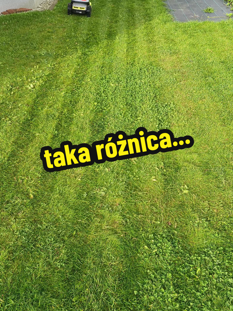 @Marcin ogrodnik