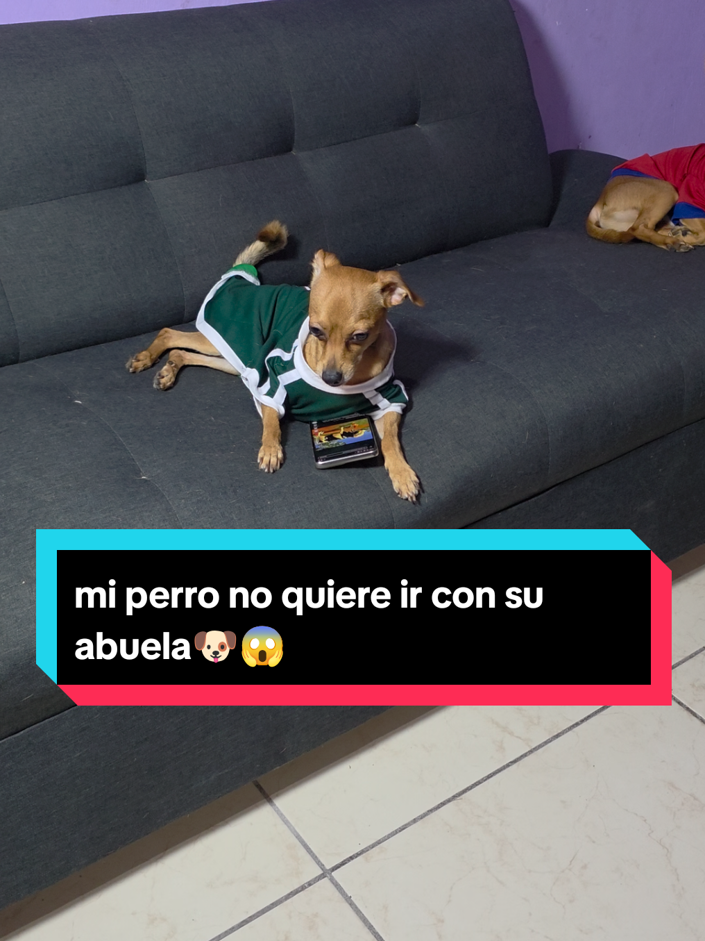 @coco el enoj&oacute;n 🐶 ❤️