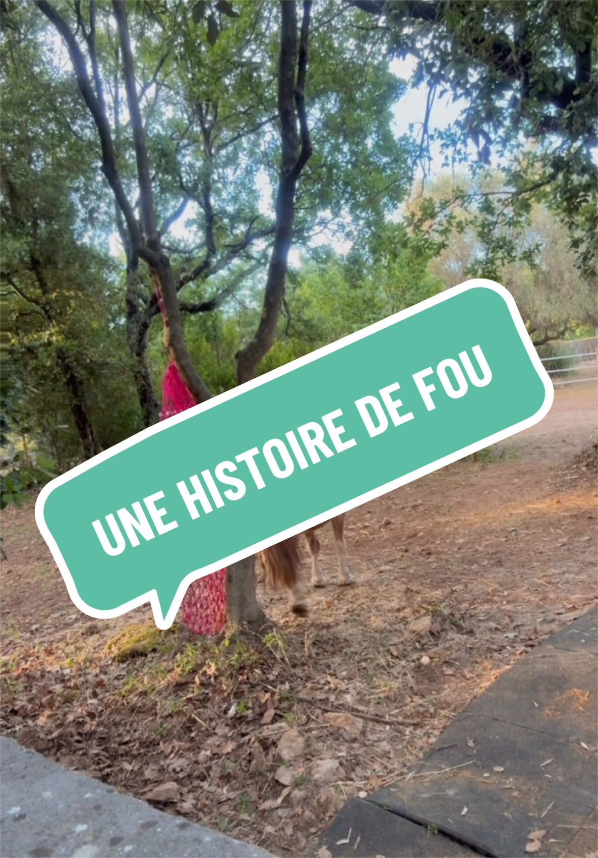 @Salut c’est Marine
