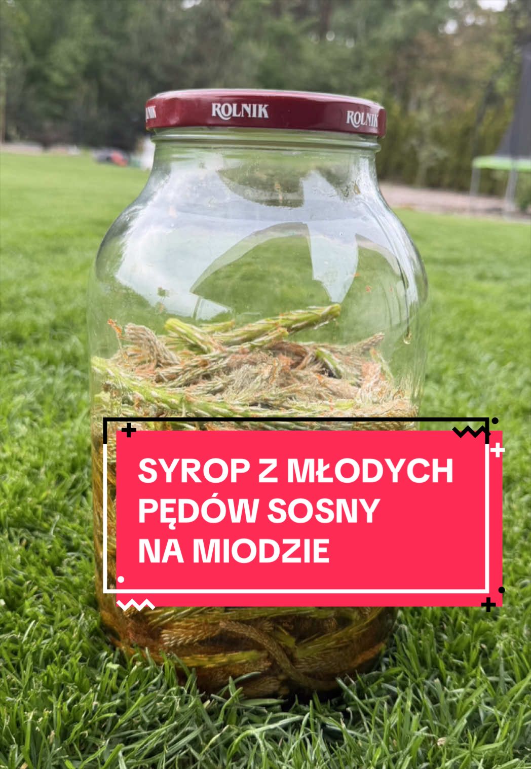 @zacznijodzdrowia.pl