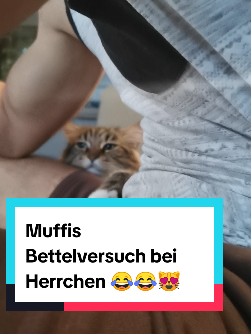 @animalslover