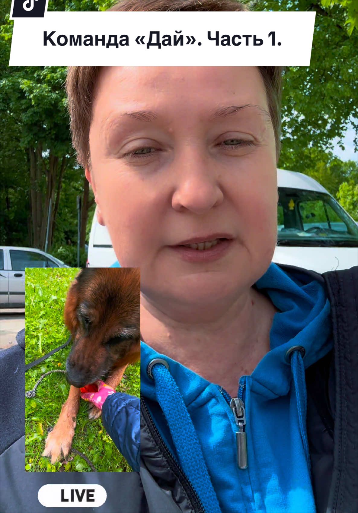 @❤️🐶Elena & Hundewelt🐶❤️