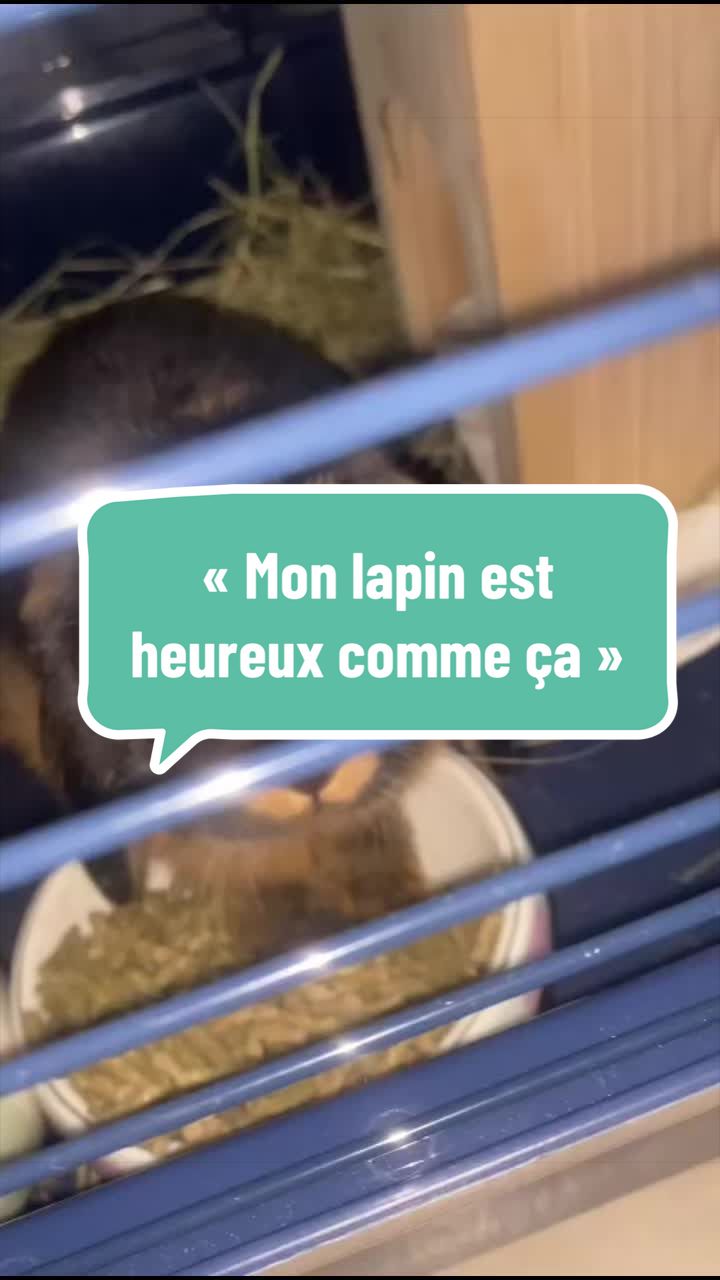 @Mes lapinouchs 🐰🐹