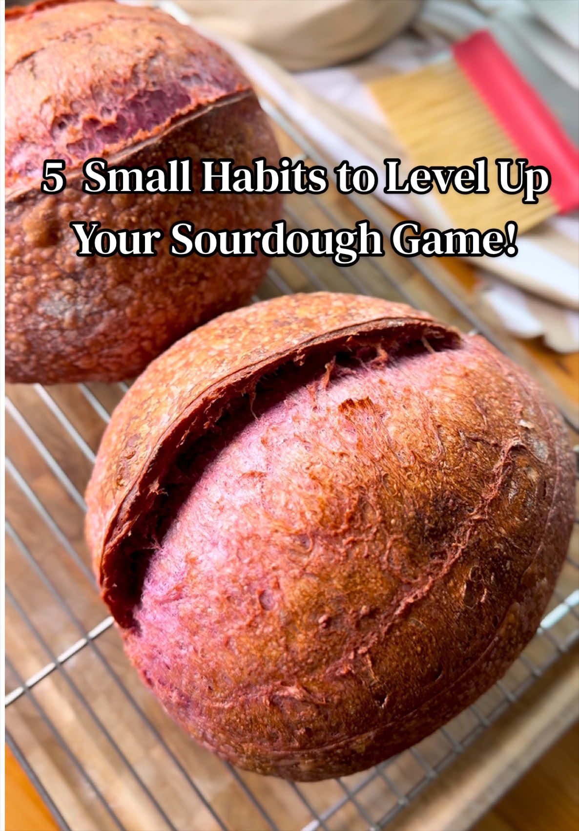 @Shebakesourdough