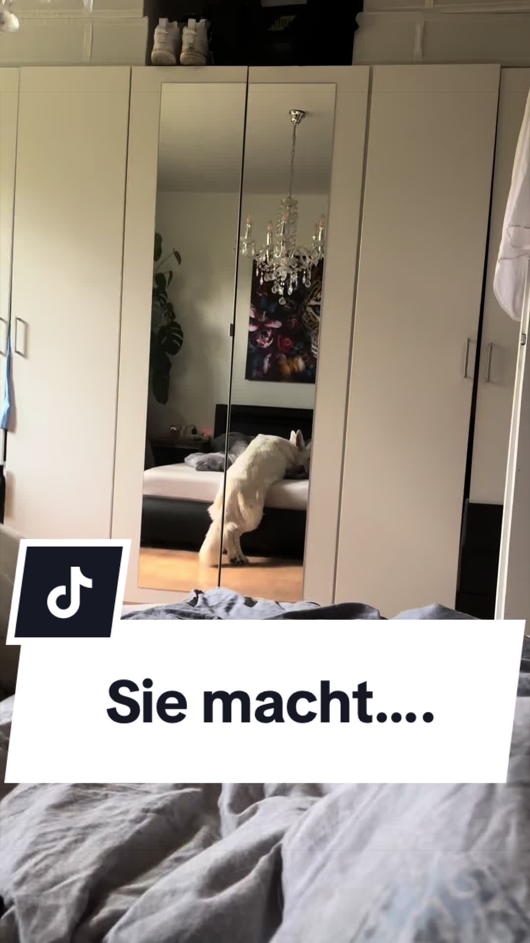 @Coco & Ylvi