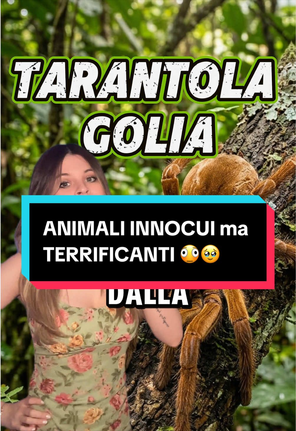 @Delfi Martinez🧚🏻♀️