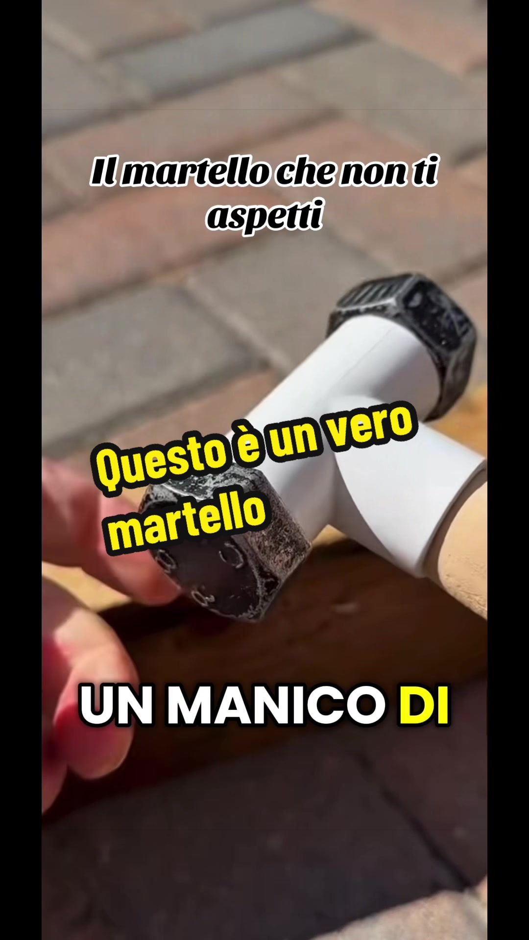 @Alessandro Cuomo ♌️