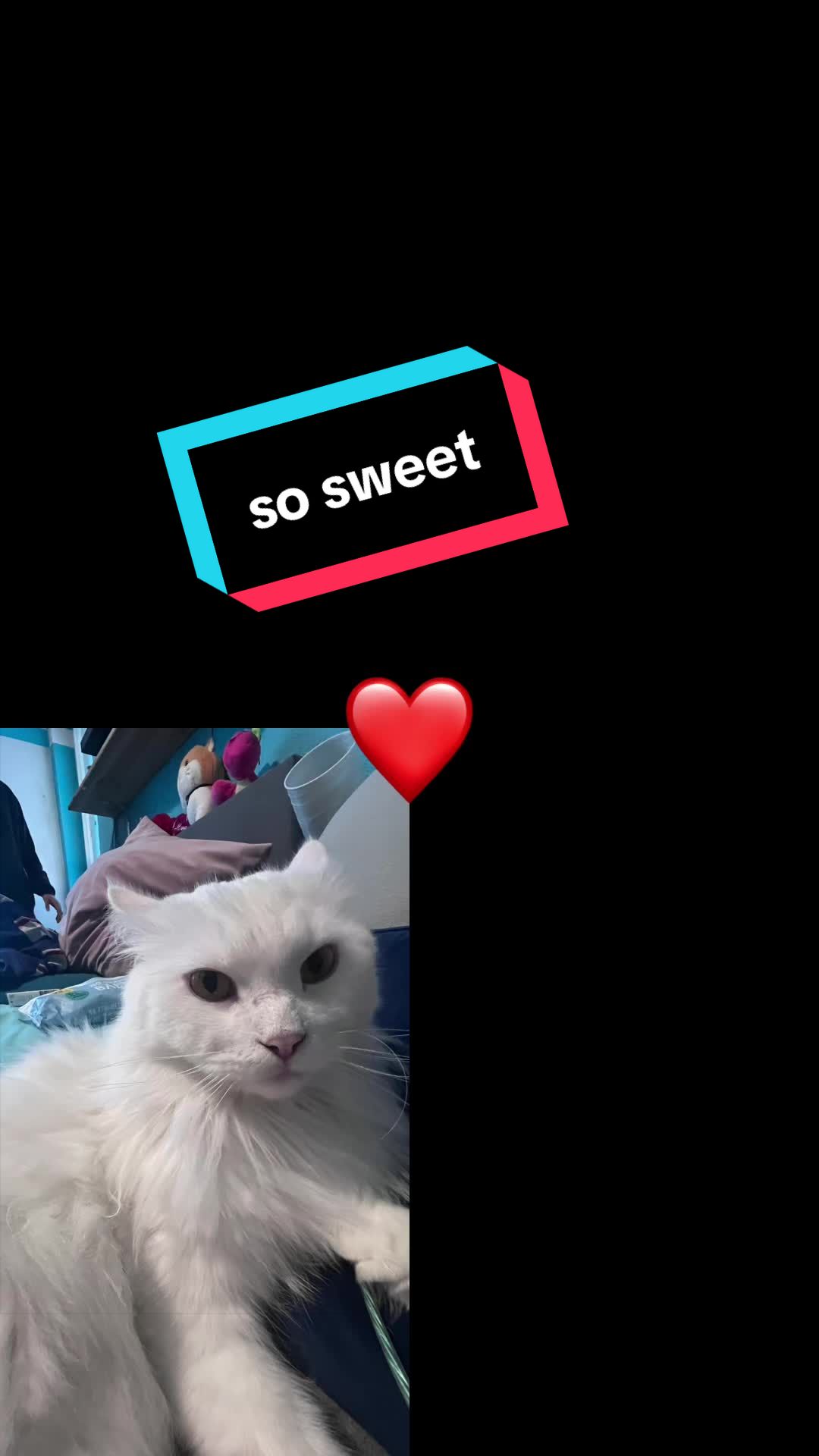 @꧁✨❤️ichnixwissen❤️✨꧂