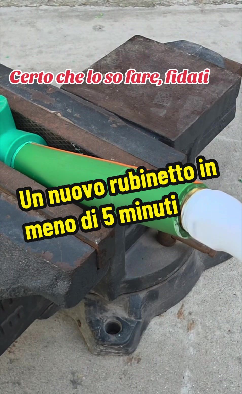 @Alessandro Cuomo ♌️