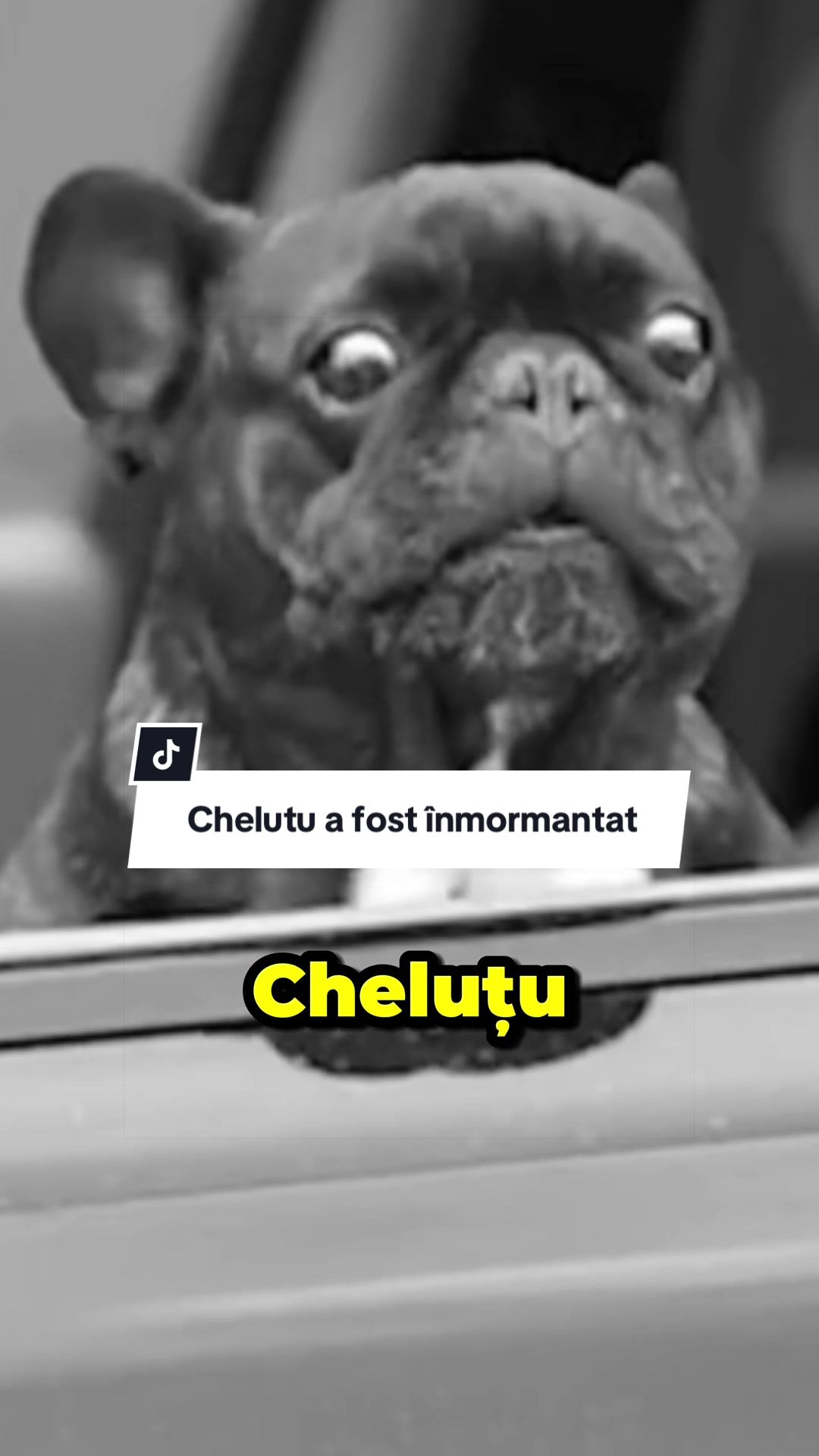 @CostiCuriosul