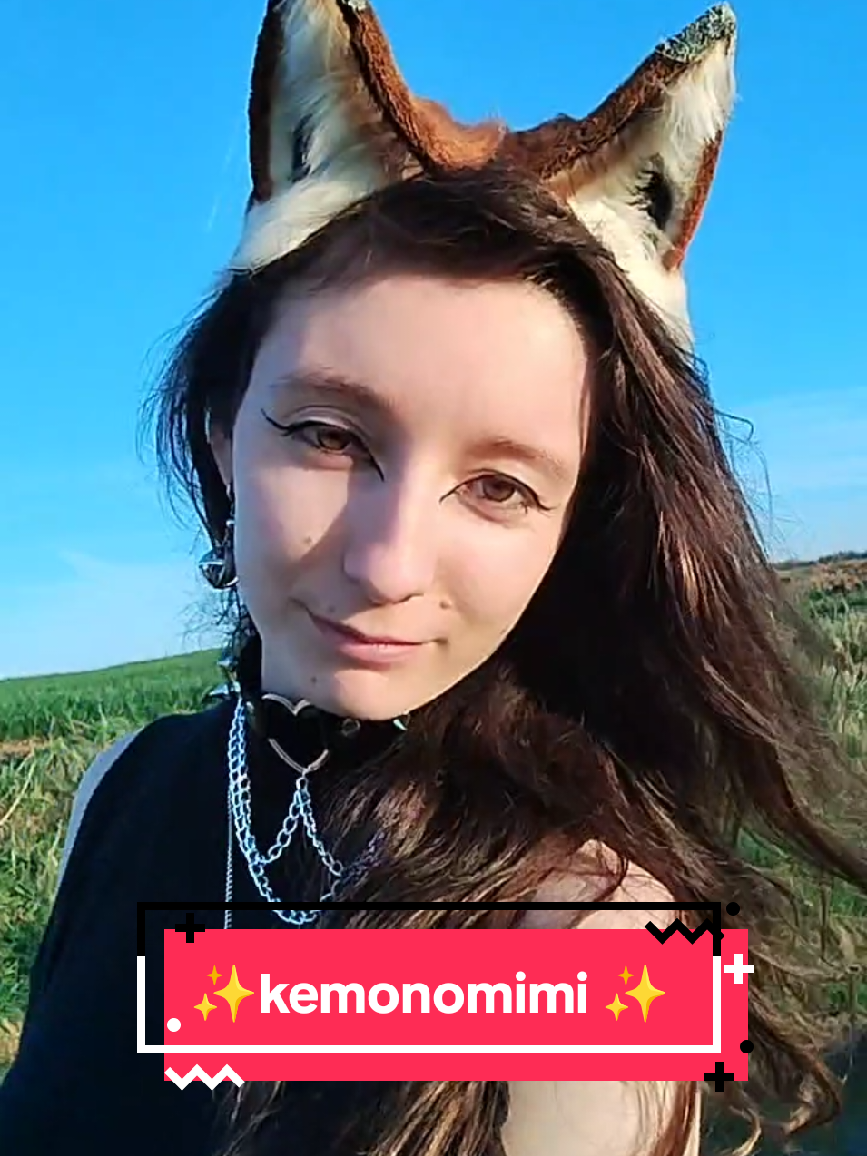 @🐺blackwolf.and.calicocat😺