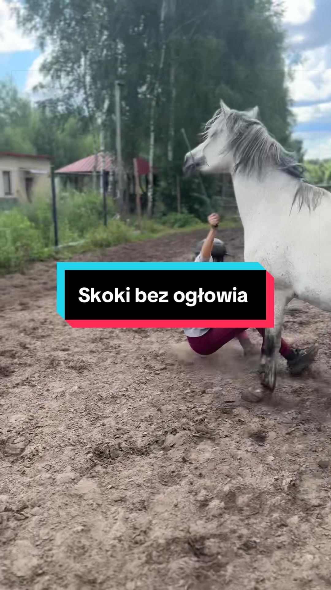 @Weronika Piasecka
