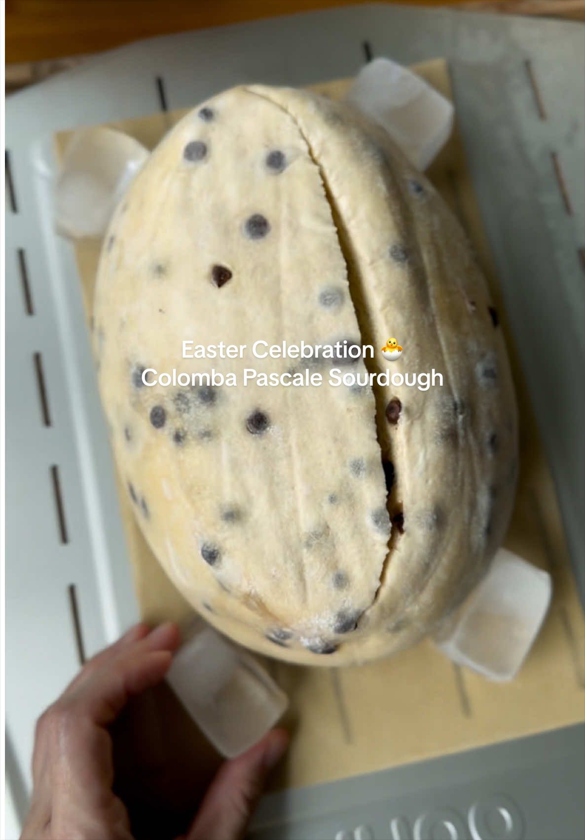 @Shebakesourdough