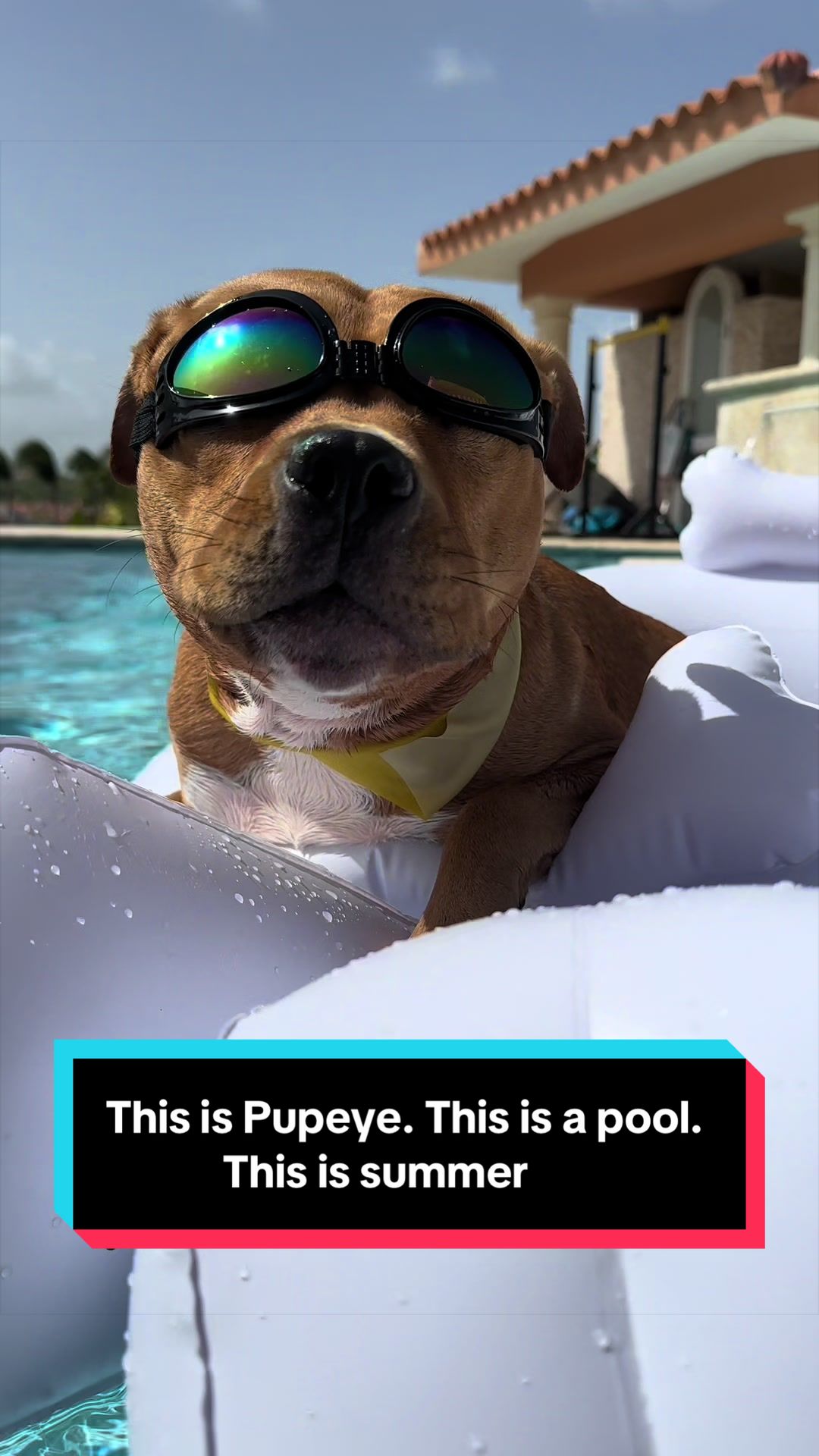 @Kaja & Macho 🥰