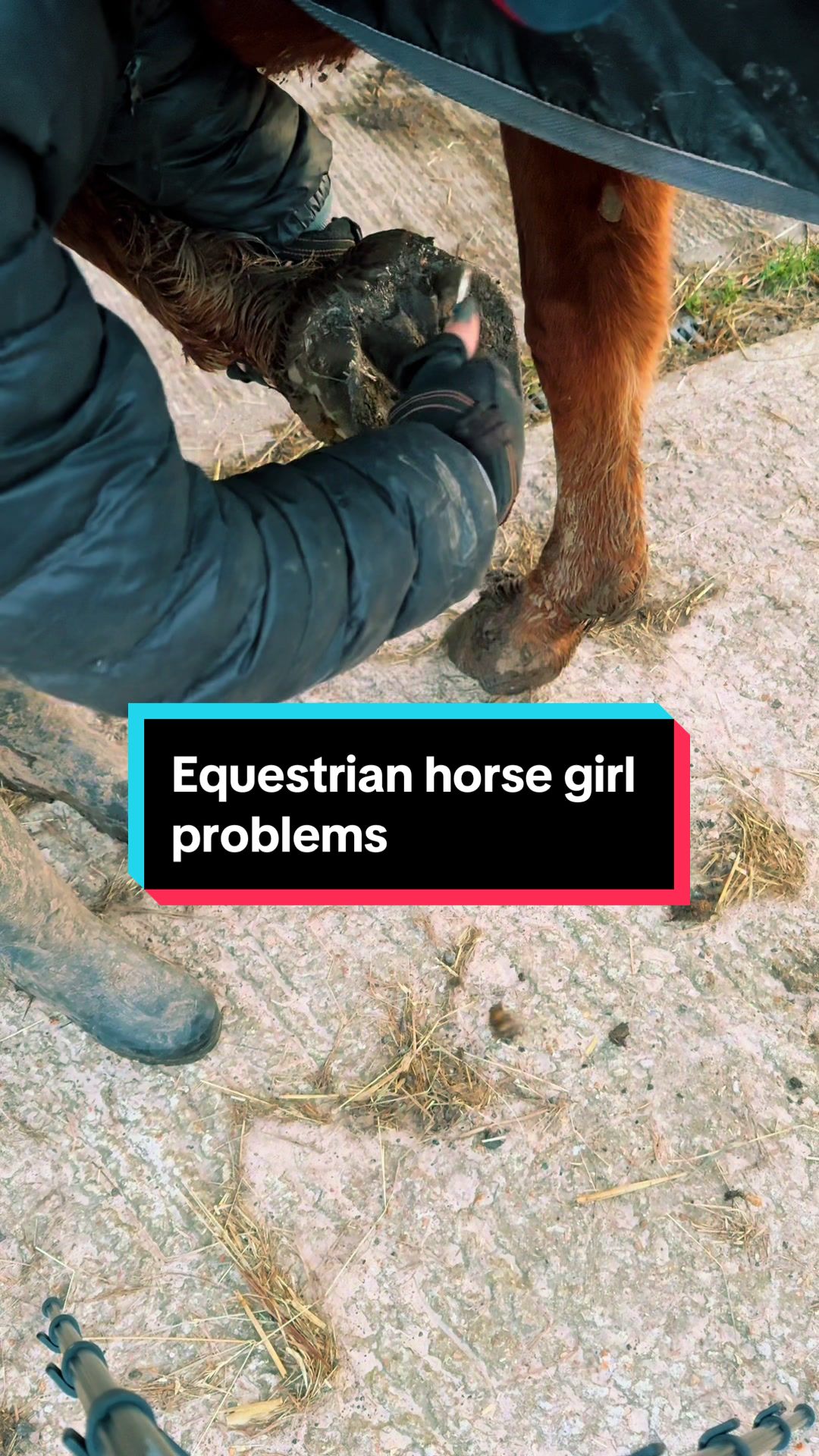 @Bex Foster 🐴