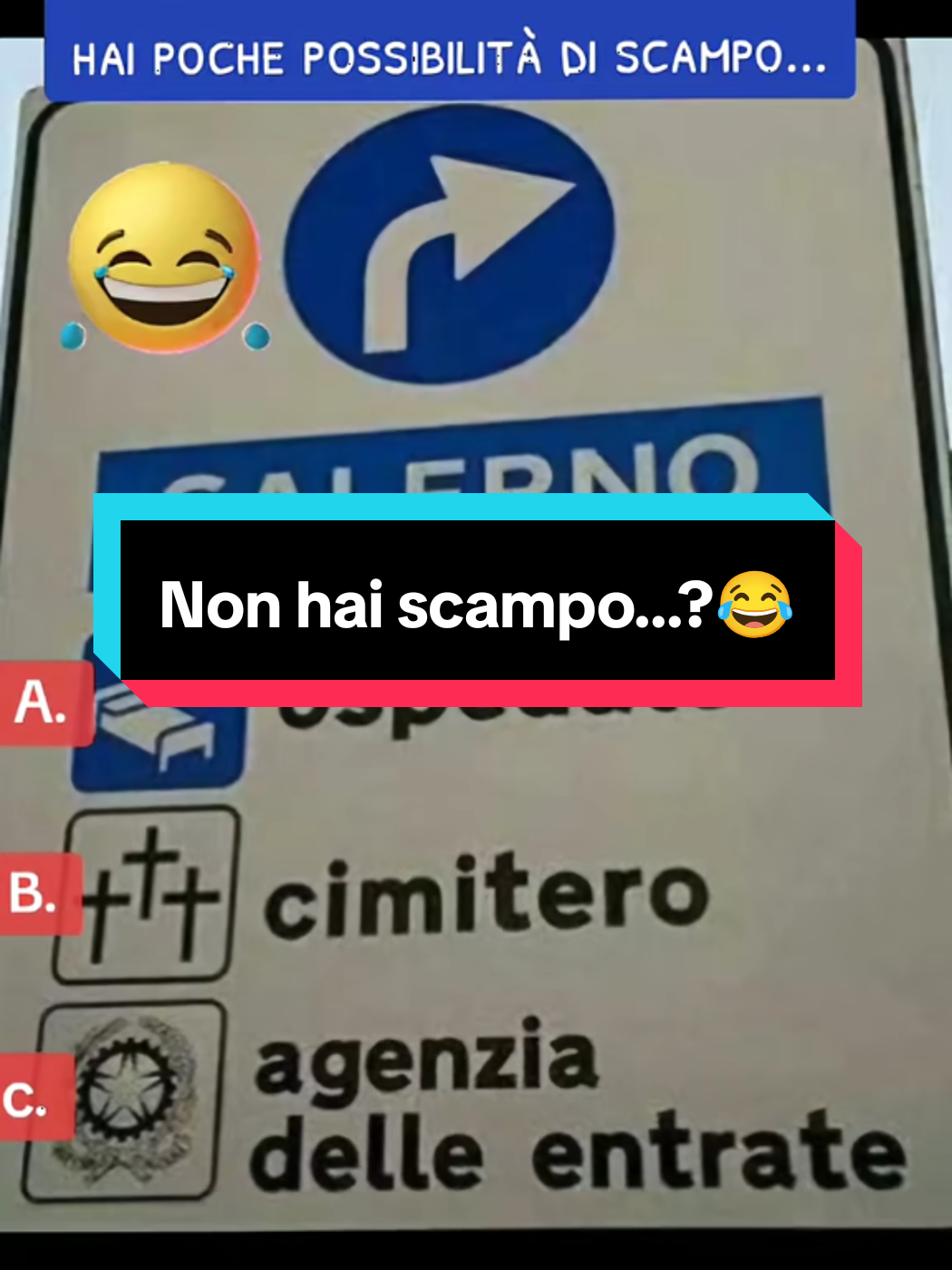 @Manuelnapo84
