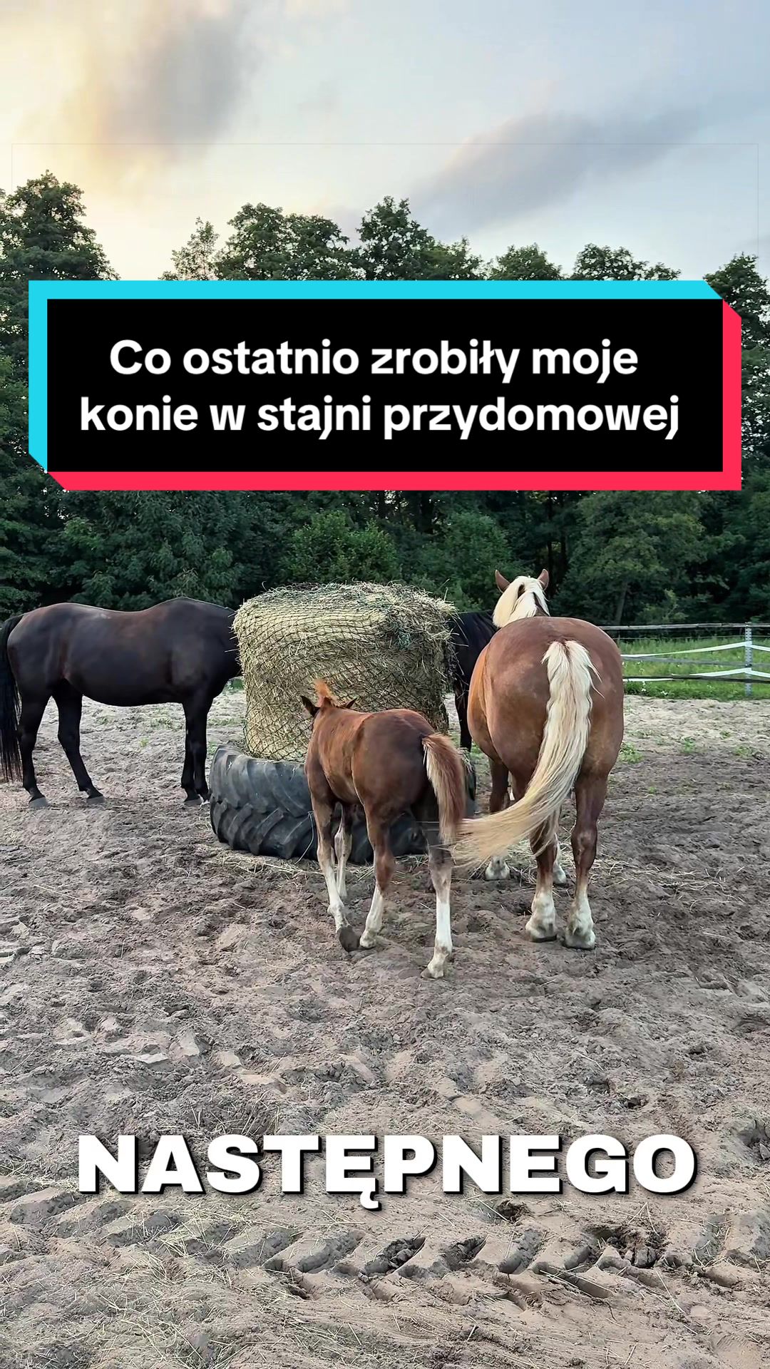 @Stado_Belli