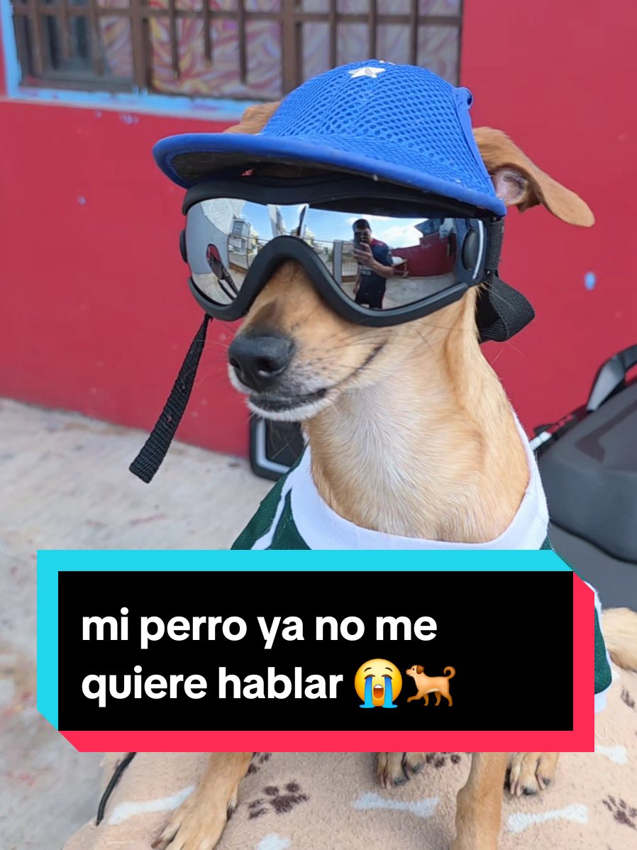 @coco el enoj&oacute;n 🐶 ❤️