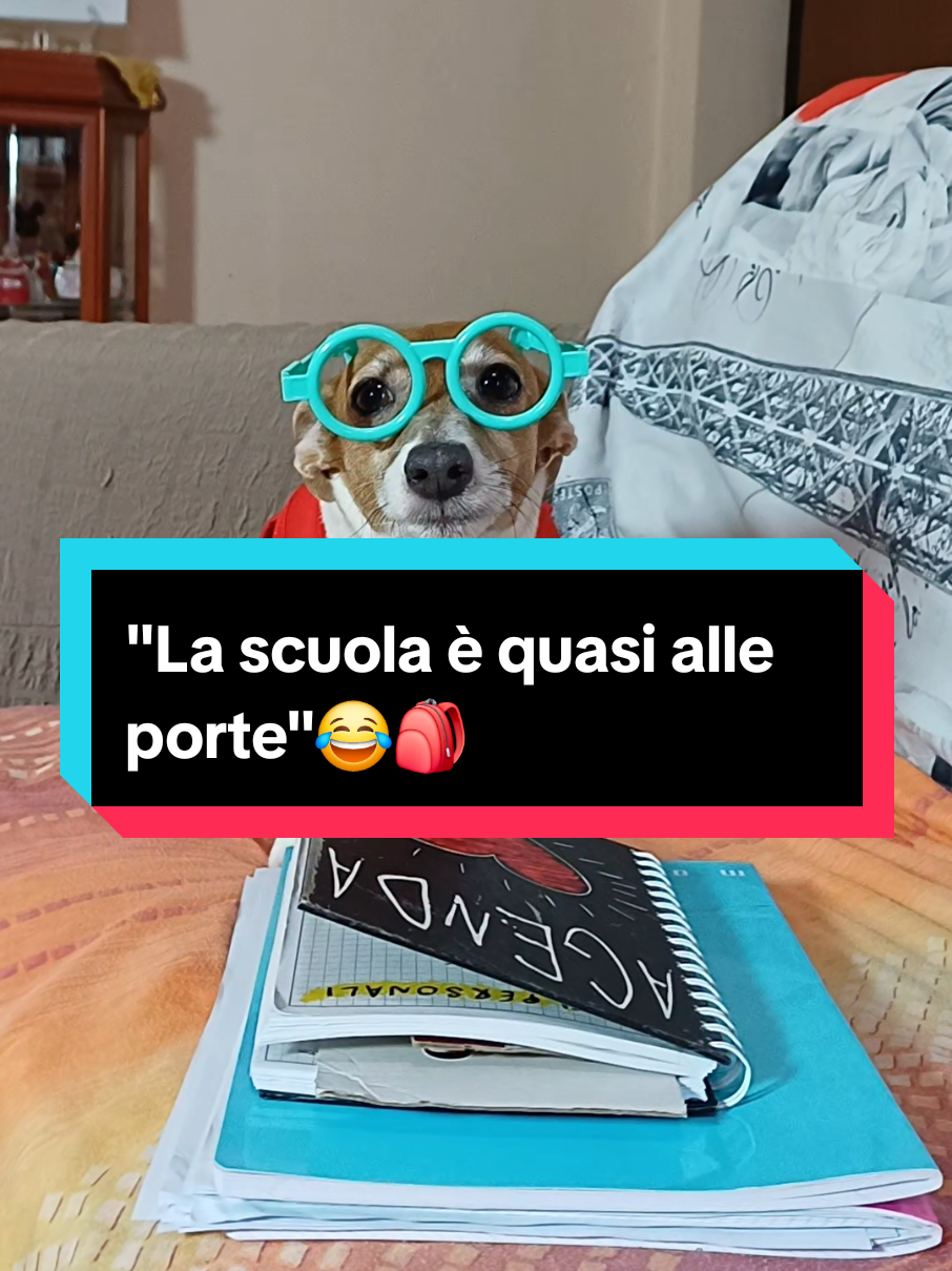 @MeryBS_Official