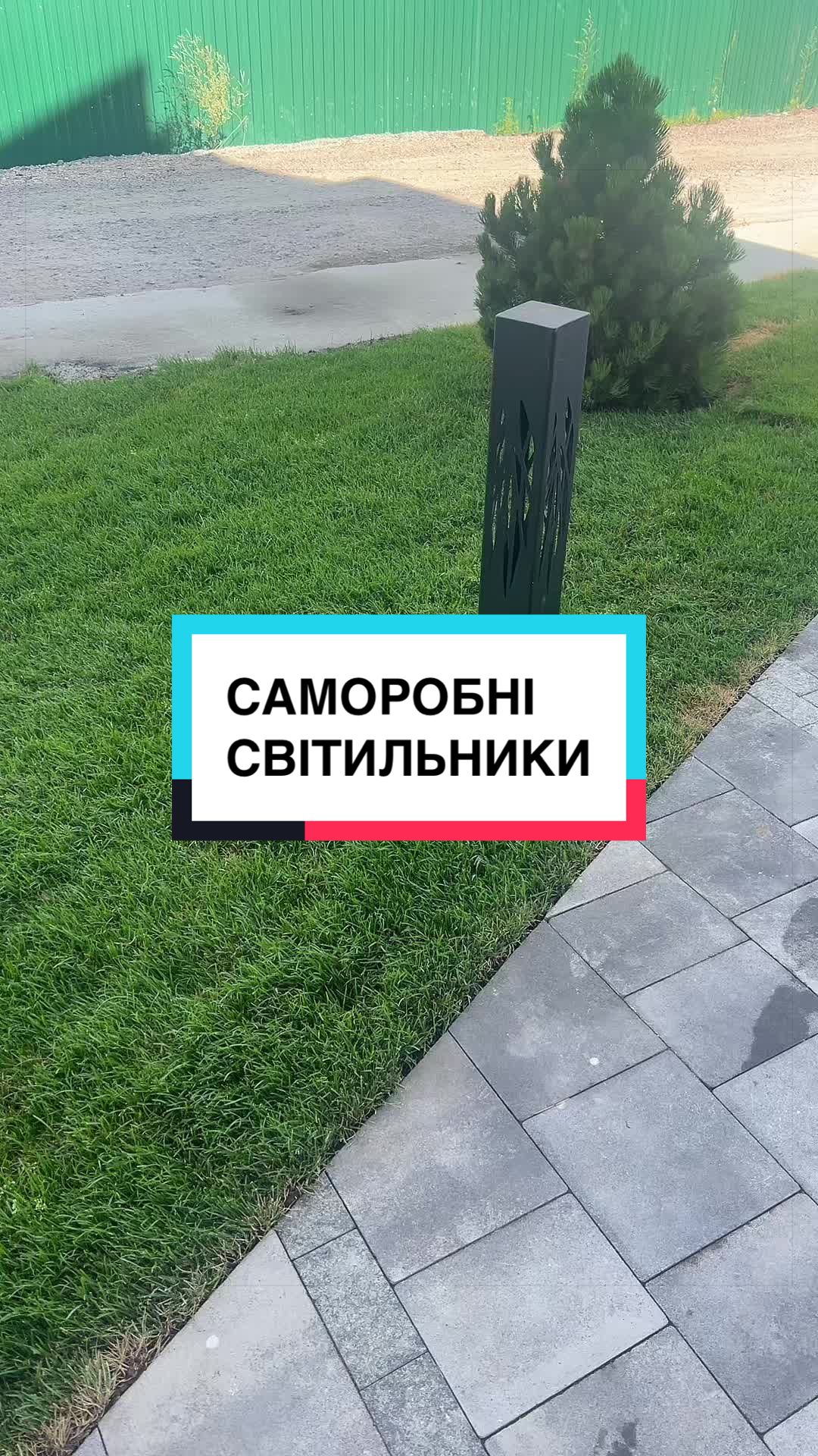 @laifhak_mozgi