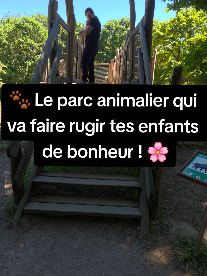 @🌍 Bon Vivant  🇨🇵