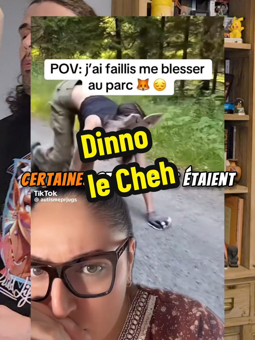 @Dinno Le Chat