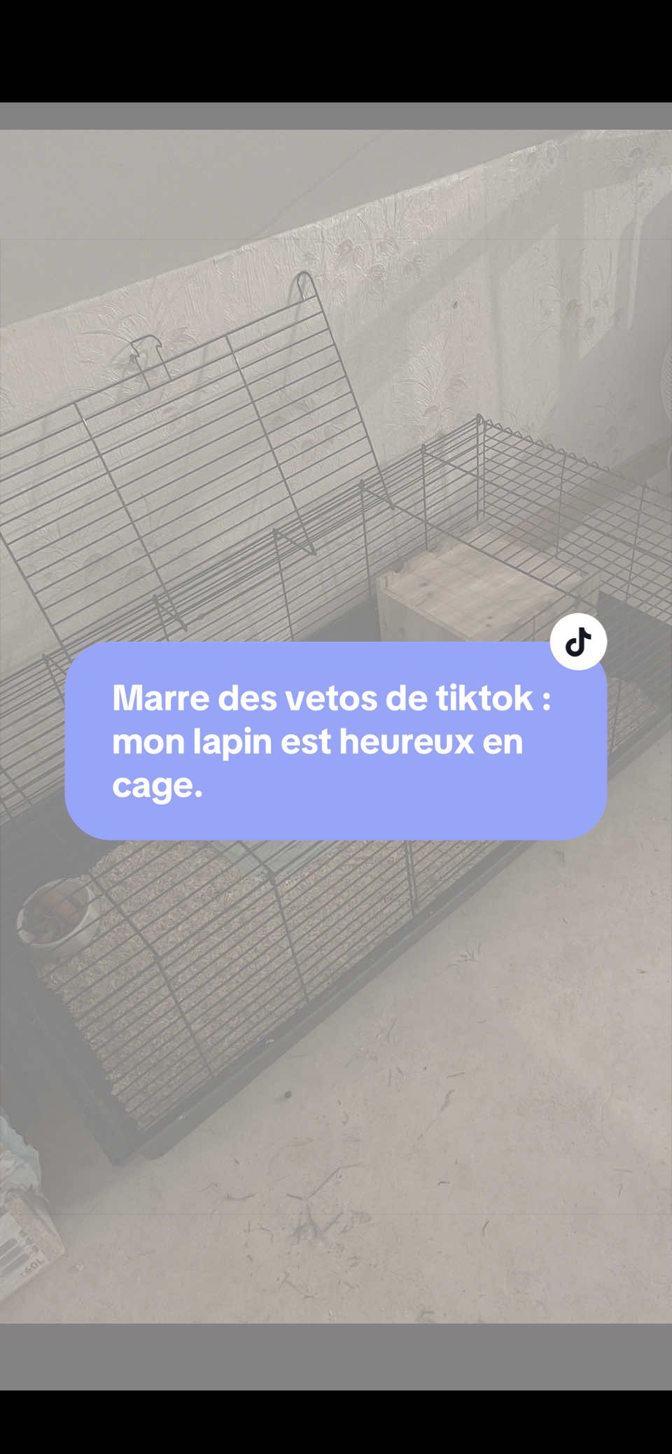 @Mes lapinouchs 🐰