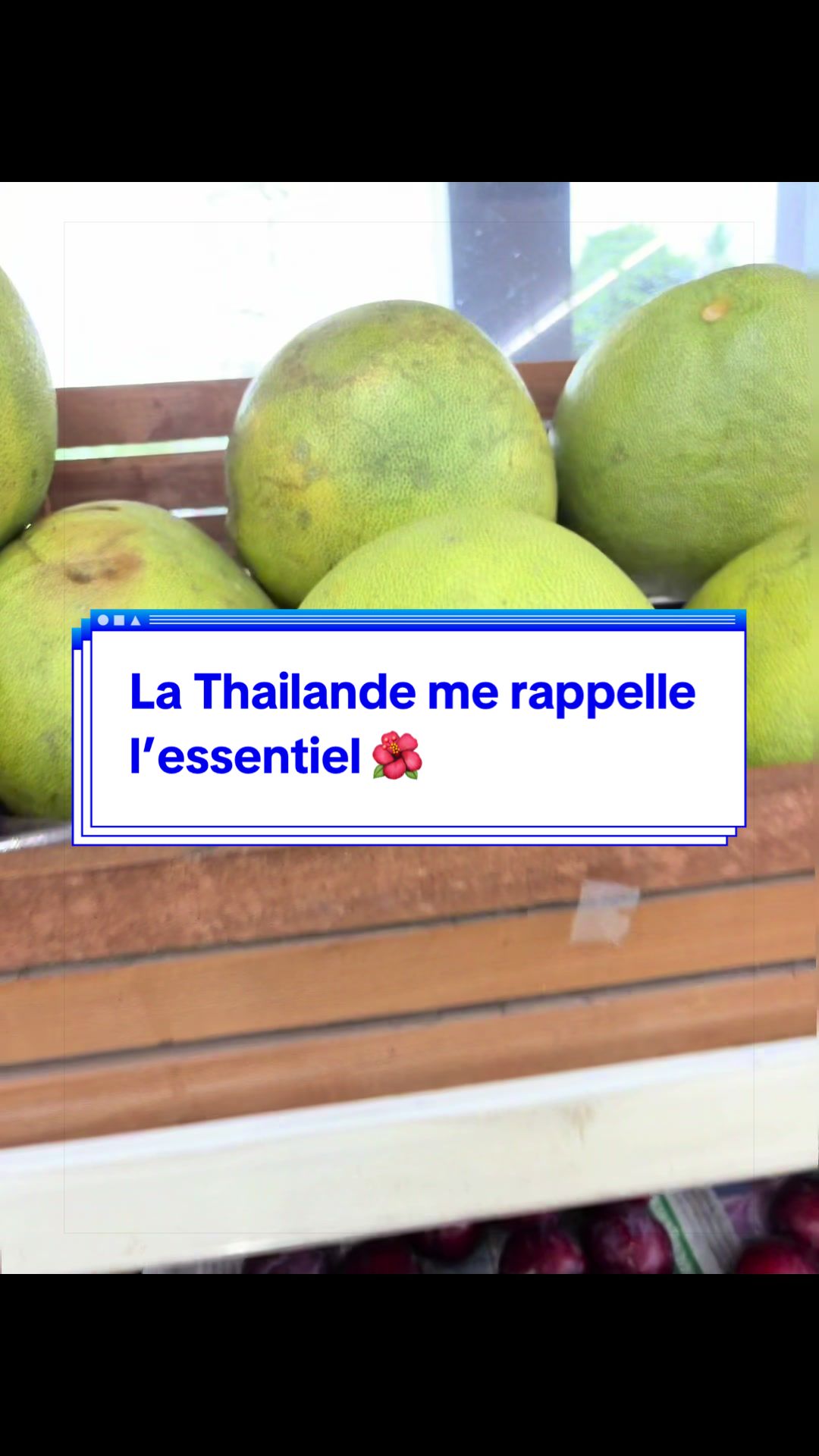 @sophie_Dieumegard