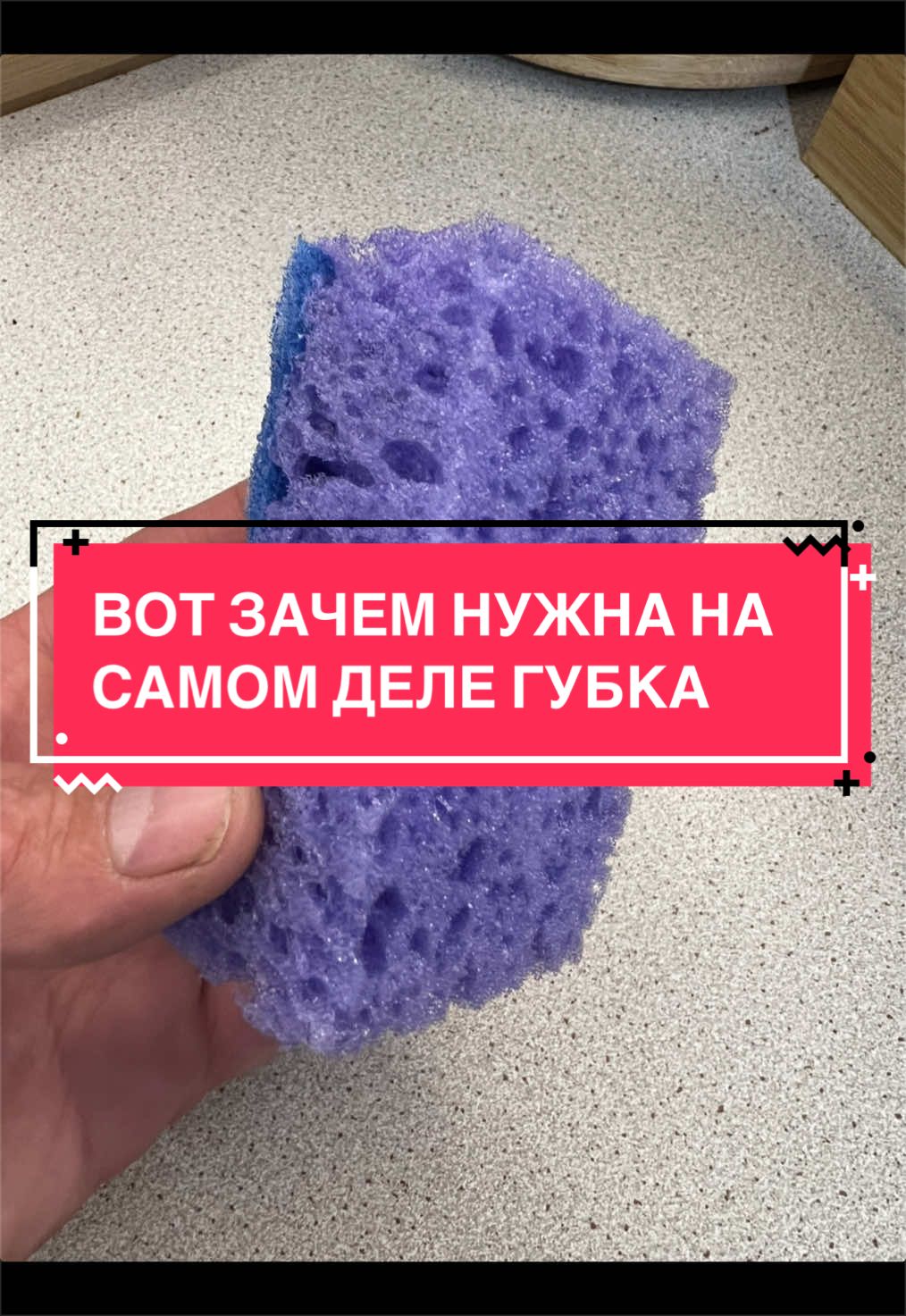 @laifhak_mozgi