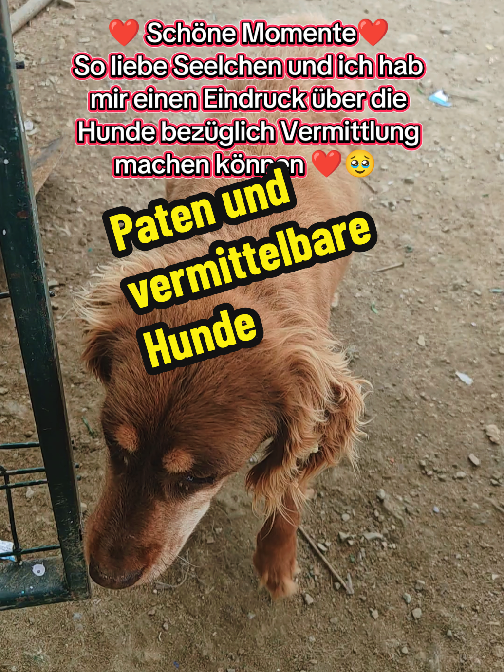@TSV Candostlari-Beste Freunde